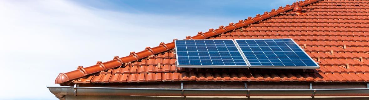 Las placas solares pueden ser Jinko, LONGi Solar, Trina Solar, JA Solar, Canadian Solar, Hanwha Q Cells, Risen Energy, First Solar